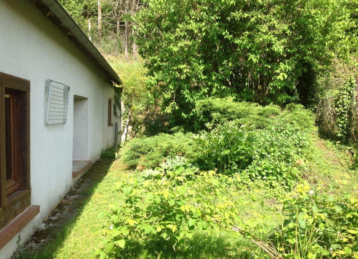 Au Coeur Des Chateaux Chambon-sur-Cisse Eksteriør billede